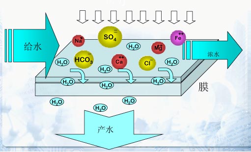 單級反滲透水處理設備 3T/H